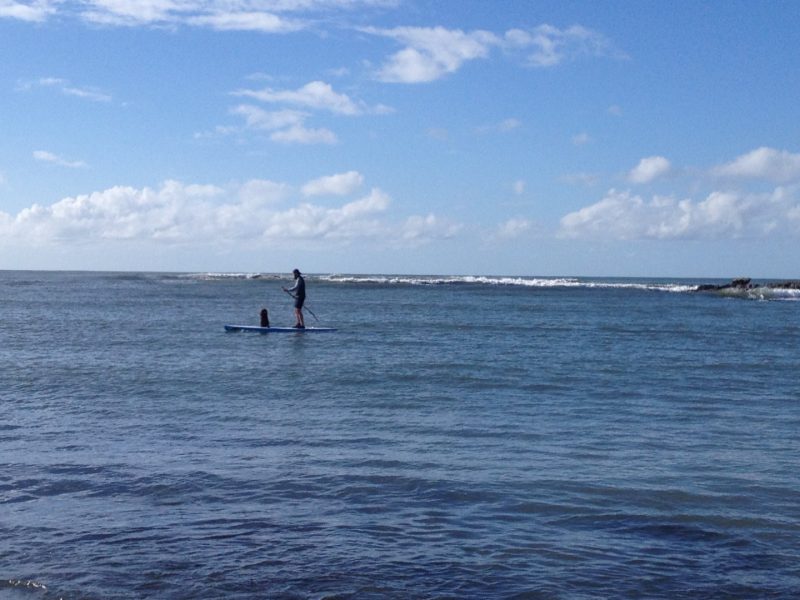 paddleboarder and his dog